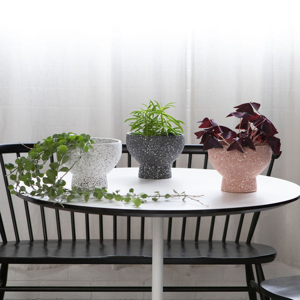 Melanie Planter